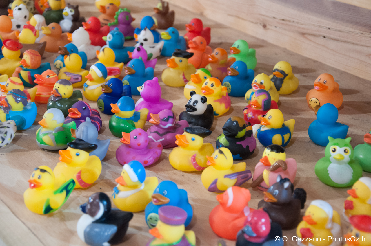 Petits canards ! - New York City